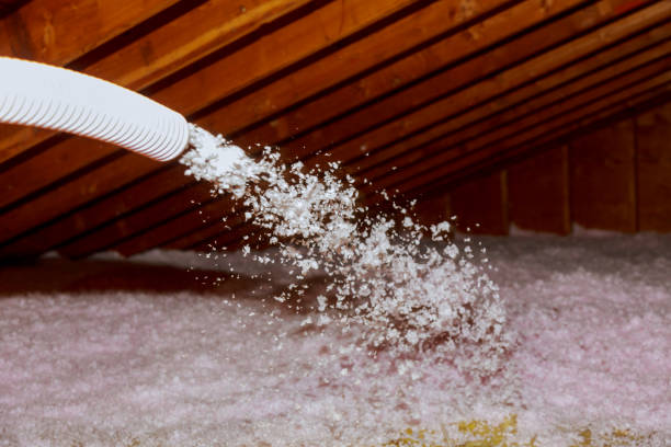 Best Best Insulation Companies  in Iowa Falls, IA